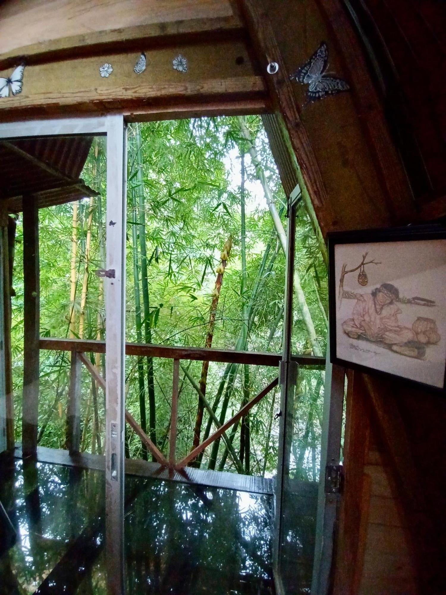 Hostal Las Mariposas Minca Exterior photo