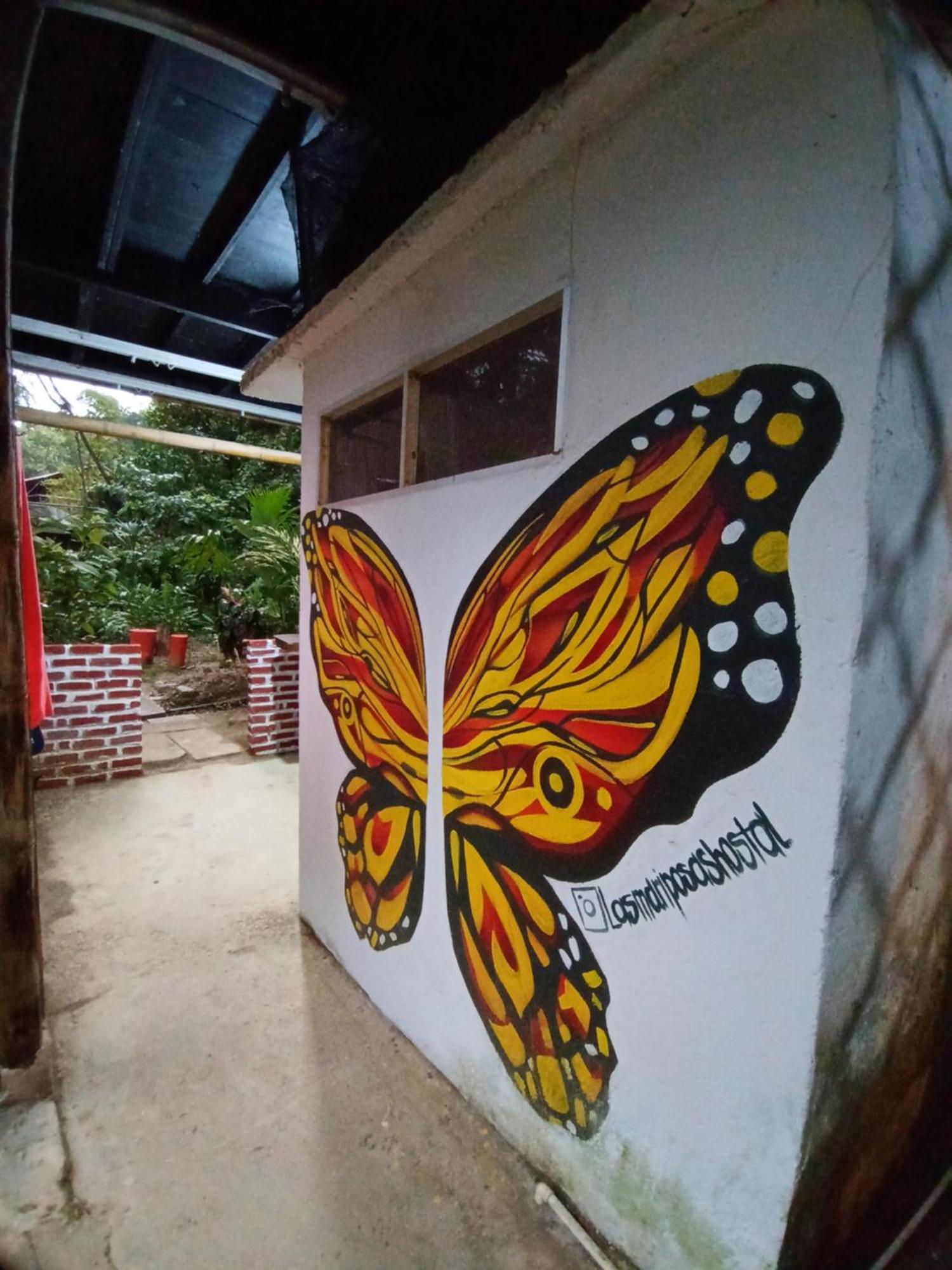 Hostal Las Mariposas Minca Exterior photo